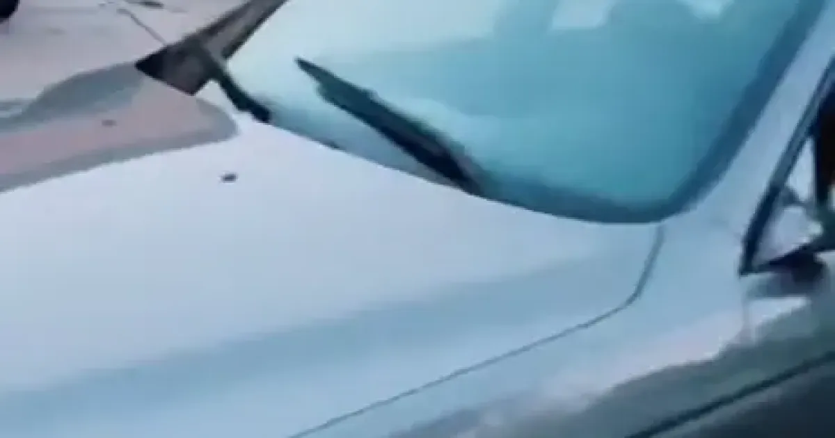 Typer Image