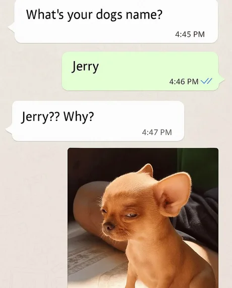 Typer Image
