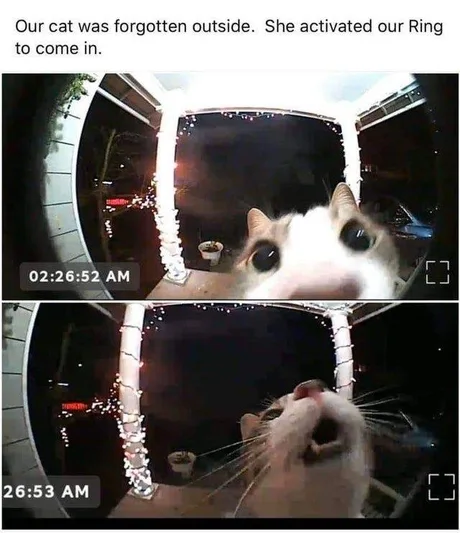 Typer Image